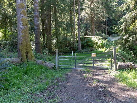 3rd image of 197 Alder Ln