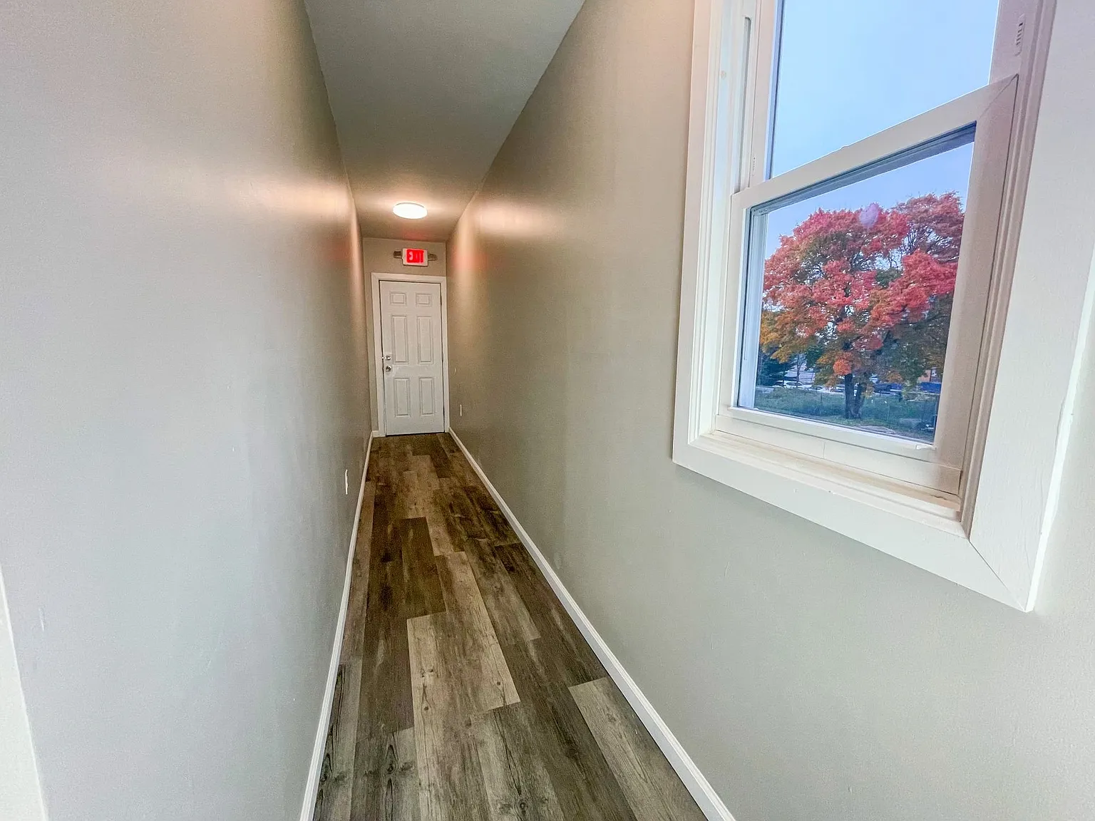 102 Albion St — Photo 3