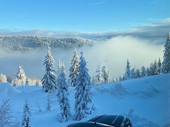 View from Livingroom