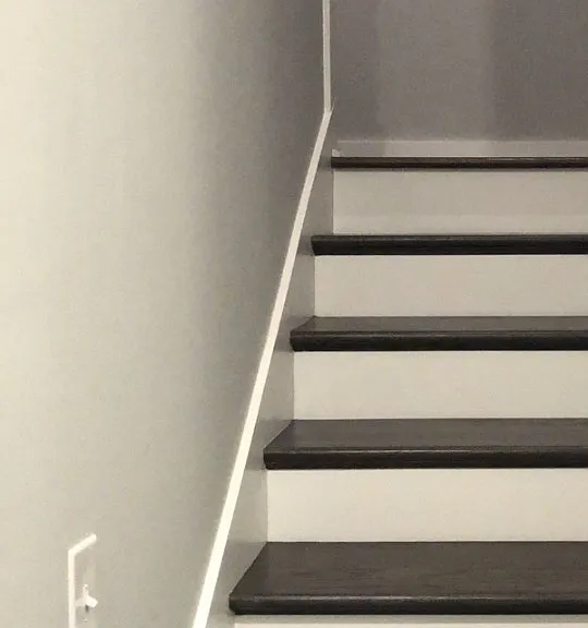 572 Grey Oak Cir — Photo 10