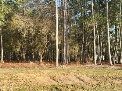 37 Maluhia Dr, Diamondhead, MS, 39525