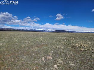 Antero Dr, Hartsel, CO 80449