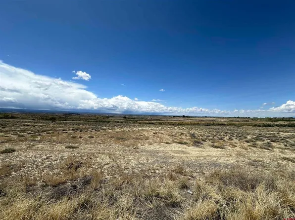 Lot 1 6200 Road, Montrose, CO 81401