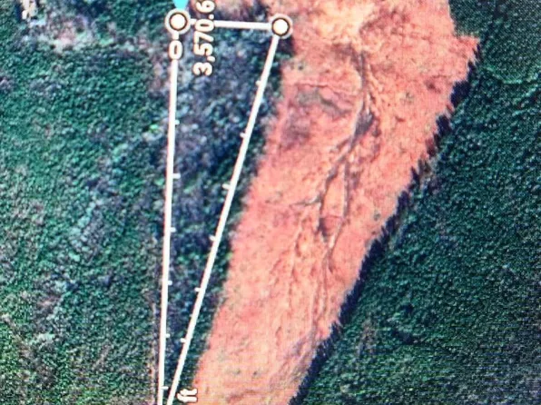 1080 Lickskillet Rd, Warrenton, NC 27589