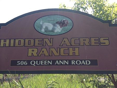 2nd image of 506 Queen Anne Rd