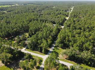 SW 57th St LOT 1, Dunnellon, FL 34431