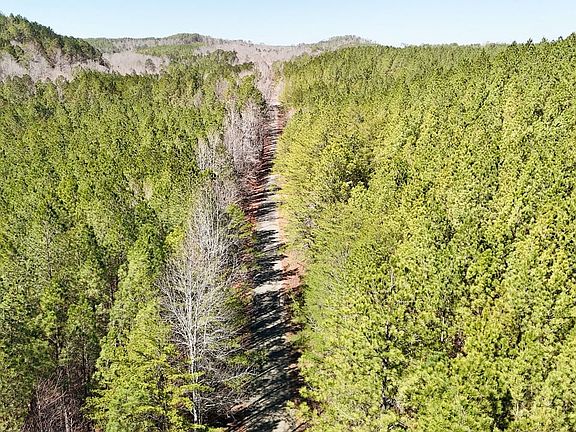 Dji 20260222115226 0057 D