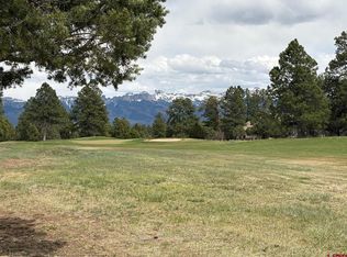 1695 Marmot Dr, Ridgway, CO 81432
