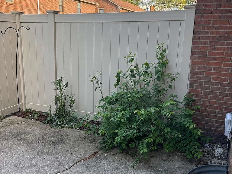 7970 Trellage Ct #15 — Photo 15