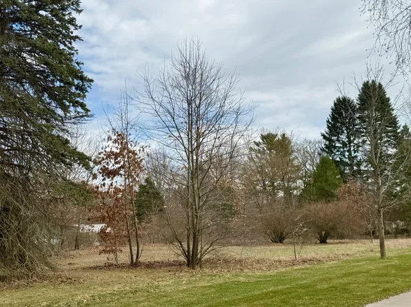 0 Willows Dr, Spring Lake, MI 49456