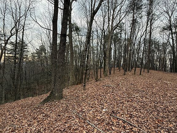 4th image of 8 Westmoreland Rd