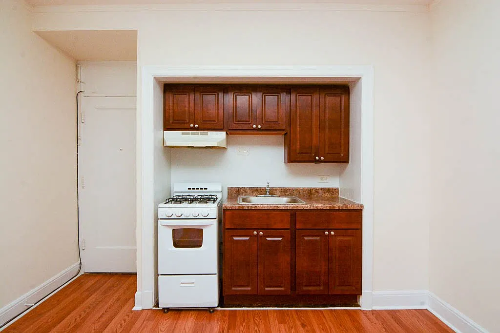 Remarkable Studio, 1 Bath at Diversey + Milwaukee (Logan Square) — Photo 2