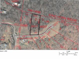 2 King Horn Rdg, Waynesville, NC 28785