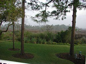 View from rear porch