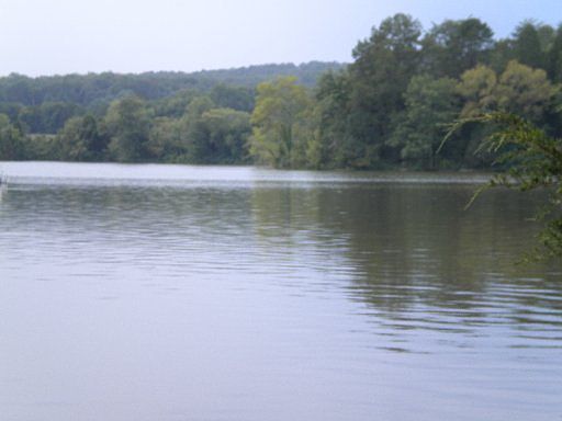 2nd image of 109 Trout Ln