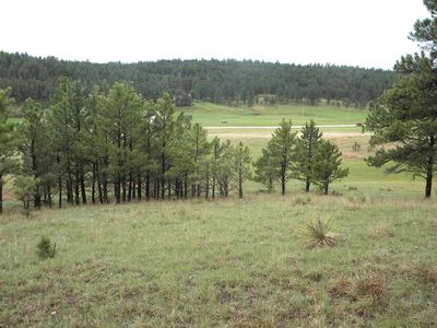 6608 Parcel Id, Custer, SD, 57730