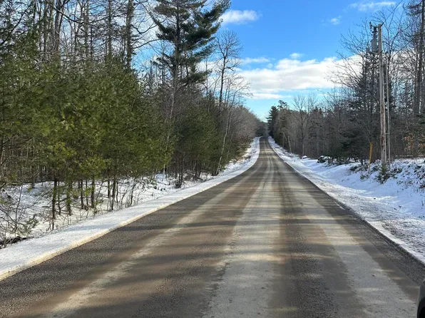 Lot #031-C Cedar Swamp Road, Orland, ME 04472