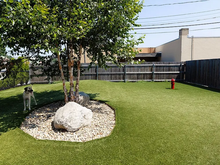 WAG Pet Park