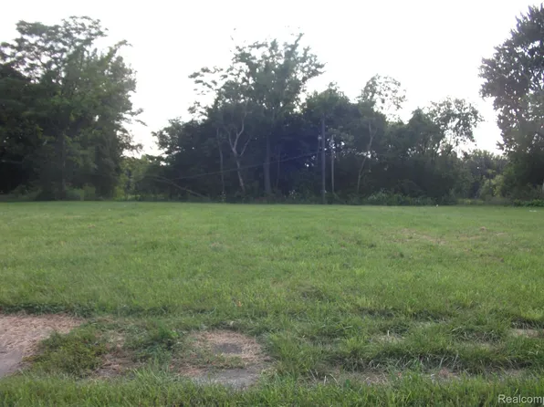 1131 Newport St, Detroit, MI 48215