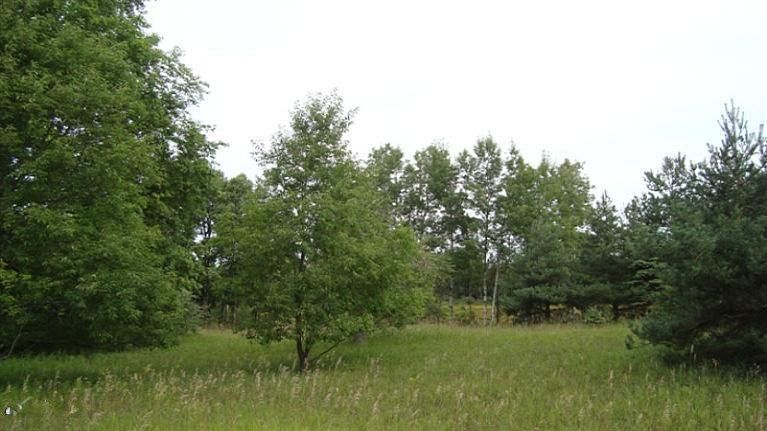 2nd image of 4 1/2 Mile