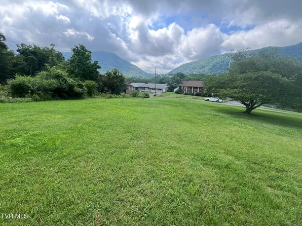 Anita Ave, Gate City, VA 24251