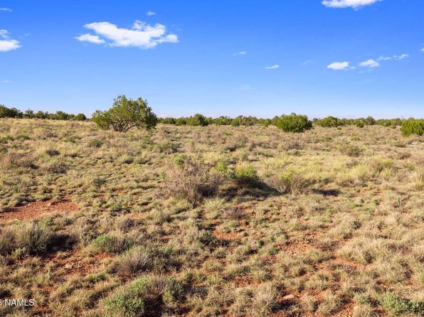 591 S Palmetto Rd, Williams, AZ 86046