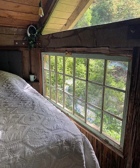 forest view from bed!