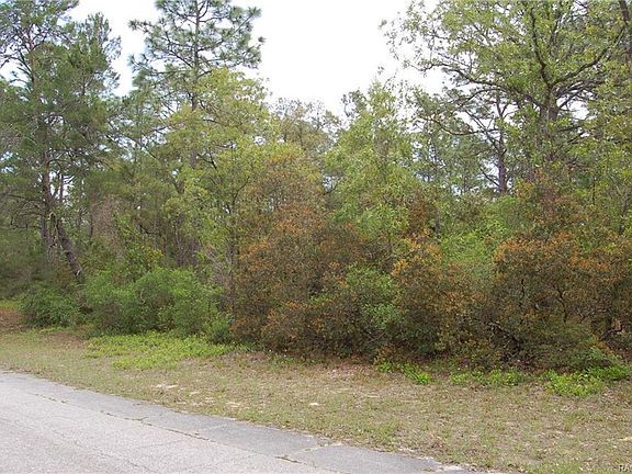 4th image of 4076 W Vicksburg Dr