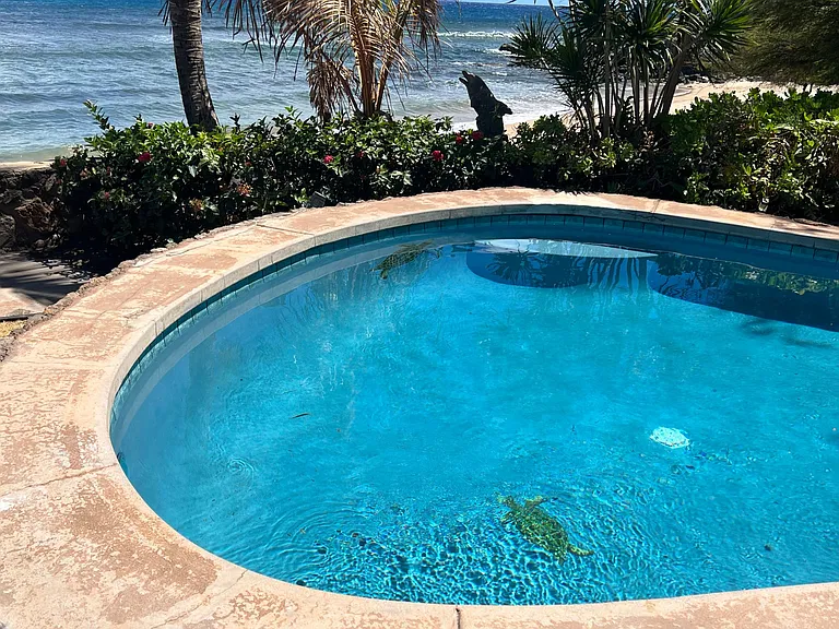 4025 Maalaea Bay Pl — Photo 21