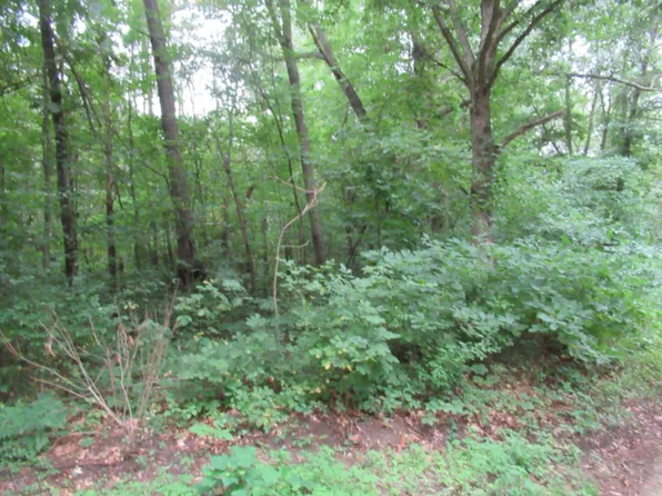 TRACT 1 Walnut St, Dowagiac, MI 49047