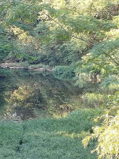 1st image of W Sherry Ln