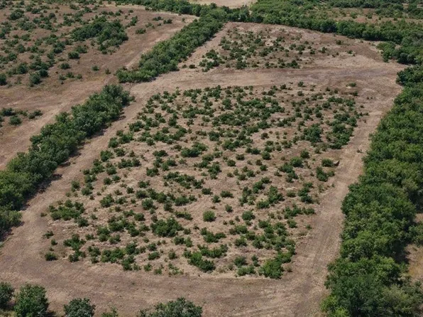 281 State Hwy S, Alice, TX 78332