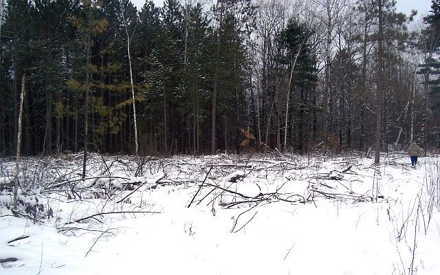 2nd image of Twin Bay Rd