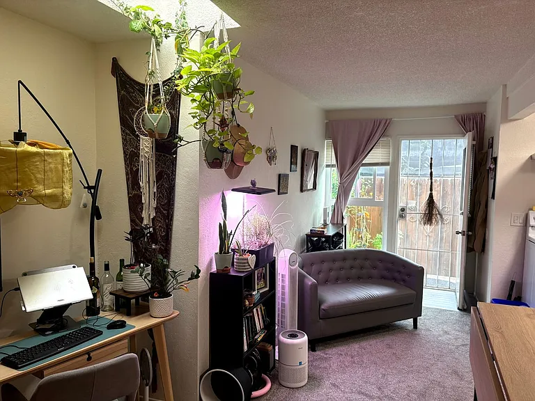 3359 Landis St #B — Photo 11