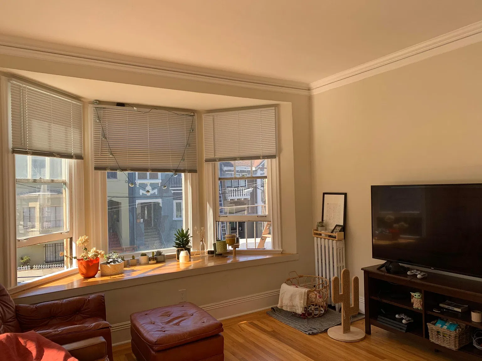1 bed, 800 sqft, $3,775 — Photo 2