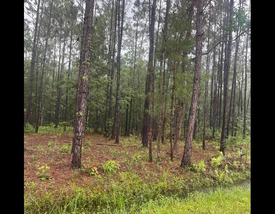 1st image of 2 Lots Indian St