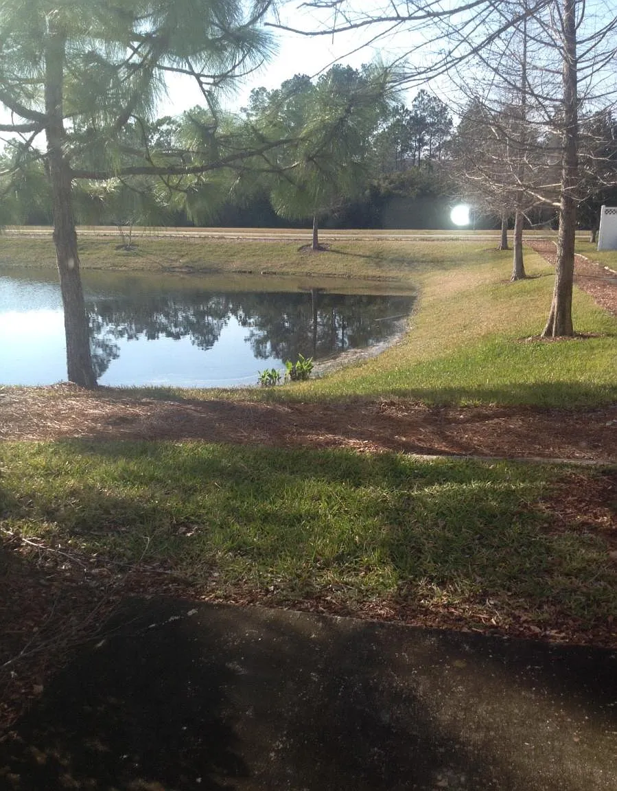 3 bed, 2.5 bath, 1468 sqft, $1,800 — Photo 4