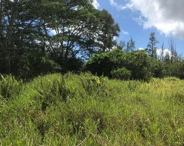 Jewel Dr, Pahoa, HI, 96778