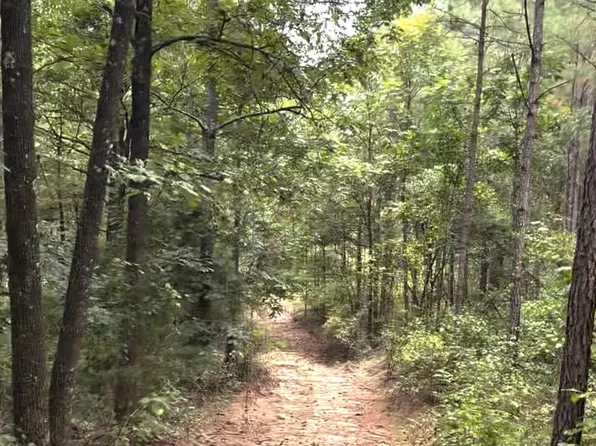 0 County Road 6645, Banks, AL 36005