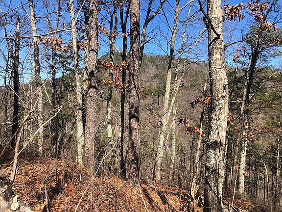 5th image of 5 Chestnut Ridge Ct Lot 5