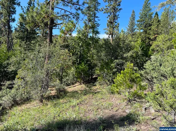 Tl900 Drews Gap Rd, Lakeview, OR 97630