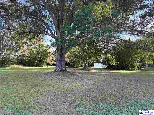 920 E Godbold St, Marion, SC 29571