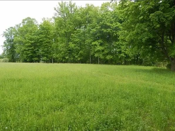 0 Kings Corner Rd, Mikado, MI 48745