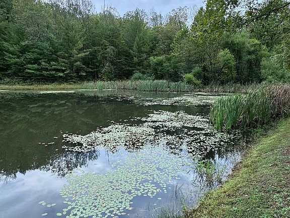 5th image of Mine Mountain Ln Lot 16