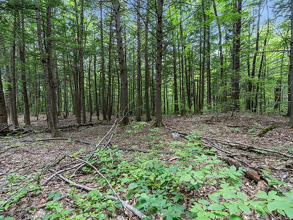 5th image of Lot 1-8 Watson Hill Road