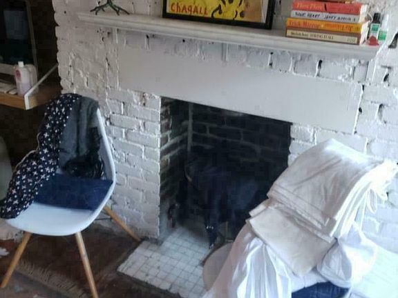 3rd image of 212 Forsyth St APT 1-4
