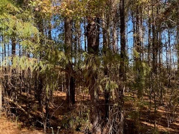 0 Triune Mill Rd Tract 200, Thomaston, GA 30286