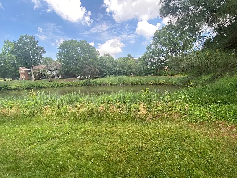 977 Water Oak Ct — Photo 64