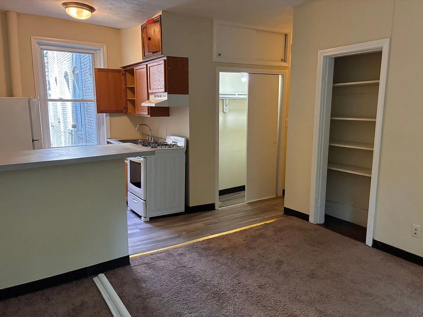 221 Kelton St — Photo 4