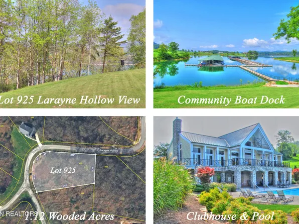 925 Larayne Hollow Rd Lot 925, Sharps Chapel, TN 37866